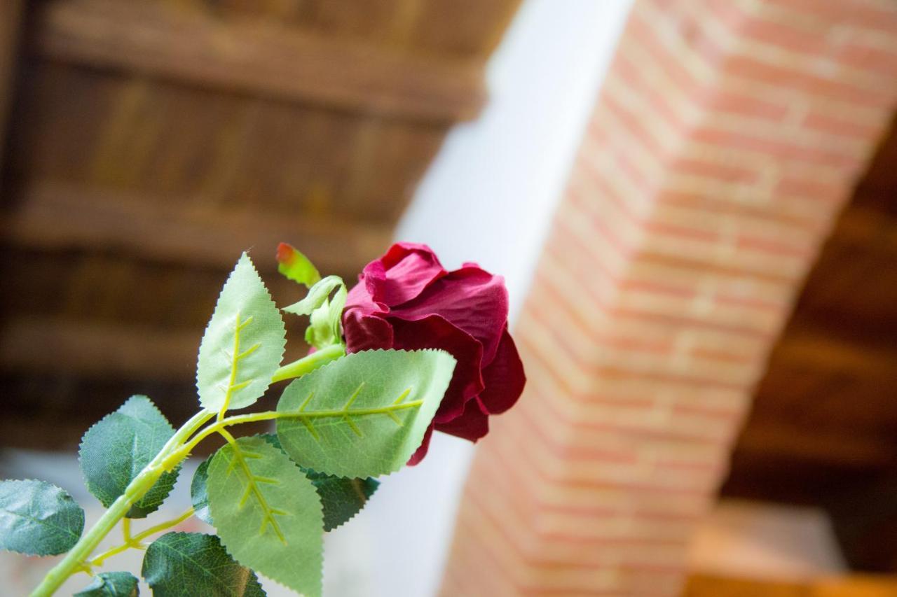 Bandinelli House Apartment Florence Ngoại thất bức ảnh